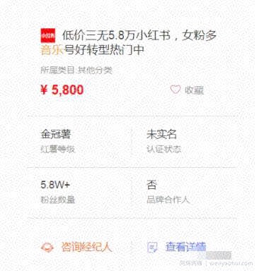 ​快速变现小红书副业賺米项目，月增收入5000+