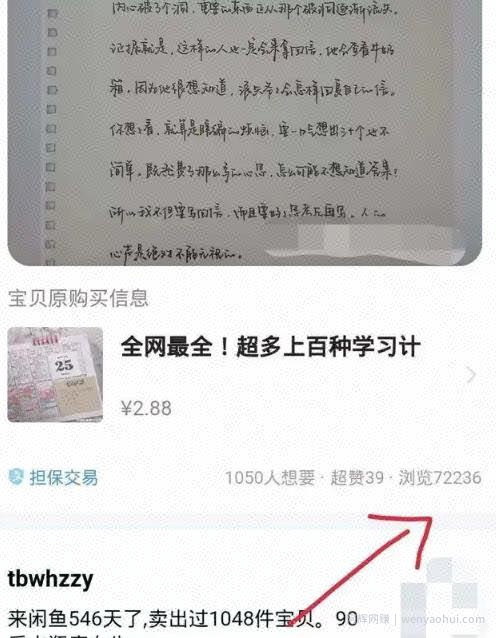 新手靠这个小众蓝海暴利项目，一个月赚1万多块钱