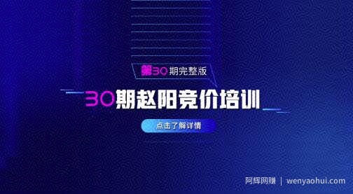 赵阳sem竞价第30期培训教程课程（2020完结）价值3999元