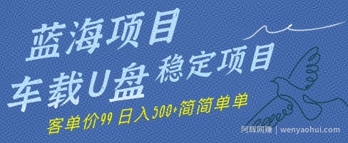 蓝海项目车载U盘稳定项目，挣的就是信息差，客单价99，日入几张简简单单