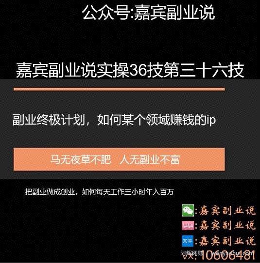 嘉宾副业说实操36技第三十六技：副业终身计划，把副业做成创业如何做某个领域的賺米ip