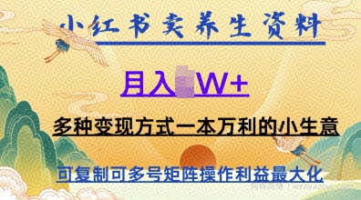 在小红书上卖养生资料，月入1w+，多种变现方式一本万利的小生意