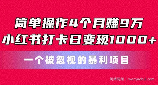 简单操作4个月赚9w，小红书打卡日变现1k，一个被忽视的暴力项目【揭秘】