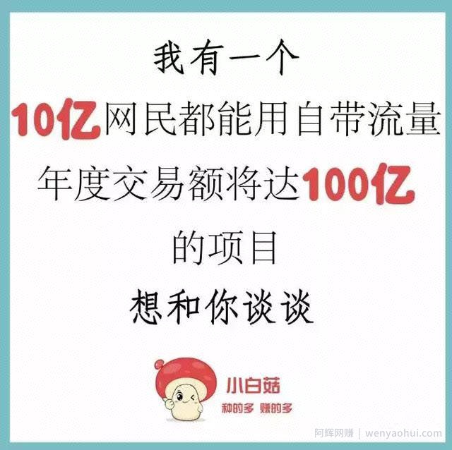 如何0投入月入过万， 小白菇APP绝对不能错过的创业项目