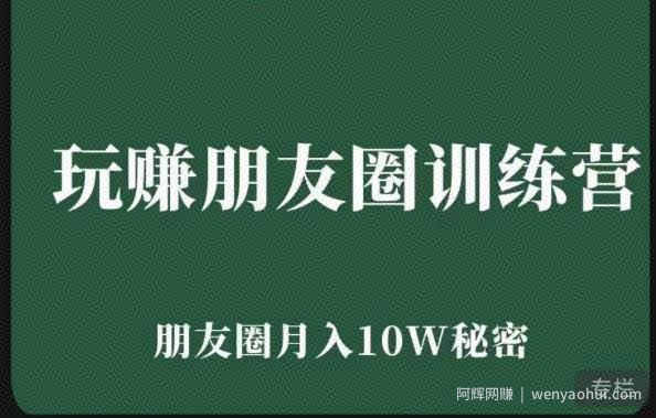 玩赚朋友圈系统课，朋友圈月入10W的秘密，​7天系统图文课程