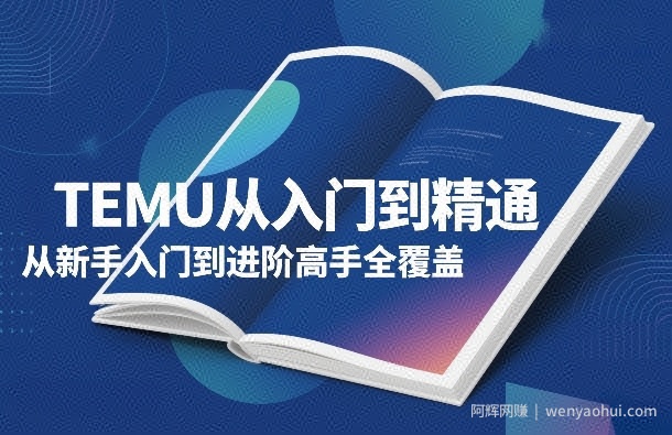 TEMU从入门到精通，从新手入门到进阶高手全覆盖