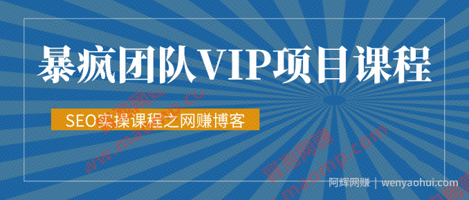 暴疯团队VIP賺米项目教程之（SEO实操课程之网创博客）