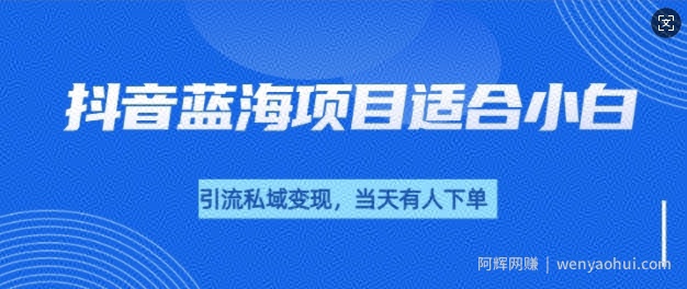 抖音蓝海小赛道私域变现项目，单价9.9单天变现100+，实操玩法分享给你