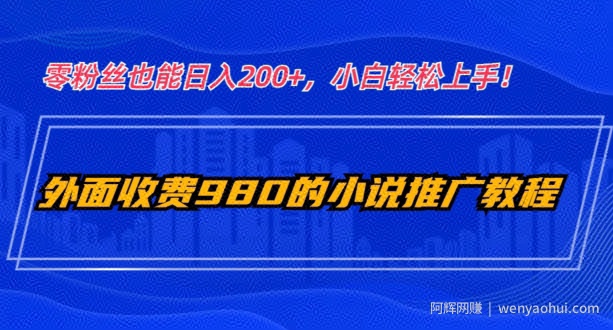 外面收费980的小说推广教程：零粉丝也能日入200+，小白轻松上手！