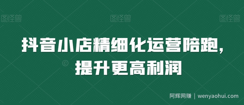抖音小店精细化运营陪跑，提升更高利润