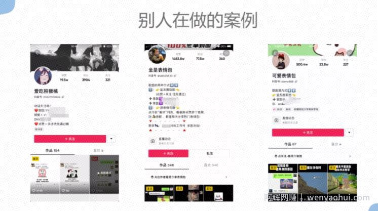 抖音表情包賺米项目拆解，细分领域的賺米机会