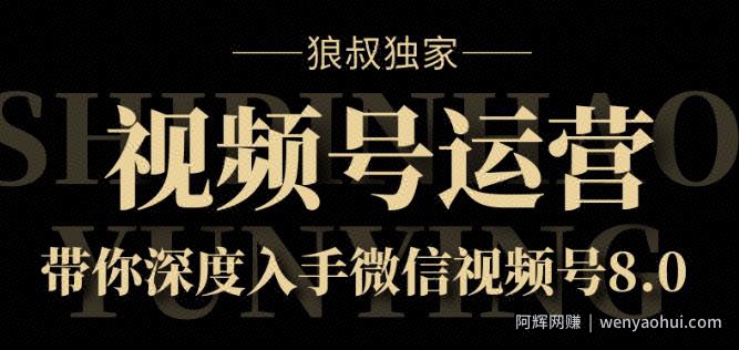 狼叔独家：视频号运营实战课8.0，带你深度入手微信视频号