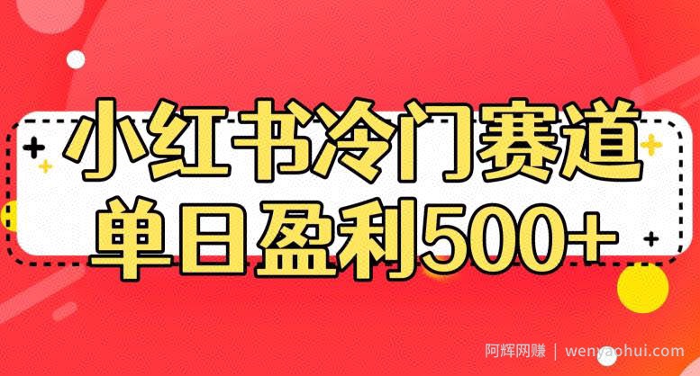 小红书冷门赛道，单日盈利500+【揭秘】