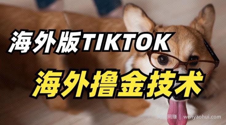 抖音海外版tiktok撸金技术,这个风口行业,賺米真的不难【揭秘】