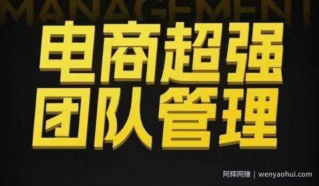 电商超强团队管理，组织绩效，到用人执行，分权合伙