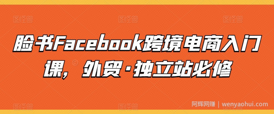 脸书Facebook跨境电商入门课，外贸·独立站必修