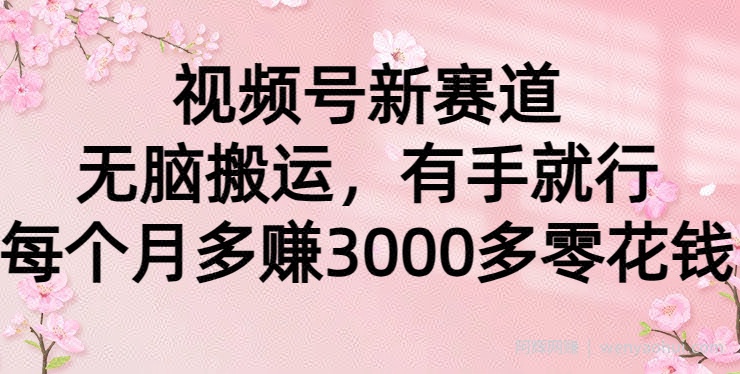 视频号新赛道，无脑搬运，有手就行，每个月多赚3000多零花钱
