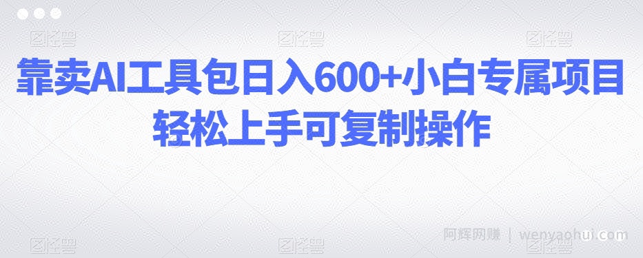 靠卖AI工具包日入600+小白专属项目轻松上手可复制操作