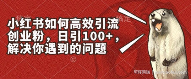 小红书如何高效引流创业粉，日引100+，解决你遇到的问题【揭秘】