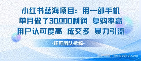 小红书蓝海项目，一部手机单月做了3W利润，小白也能月入过1W用户认可度高成交多