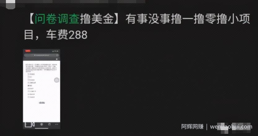 国外网创：收费几十到几千元不等的小项目——撸美金之问卷调查