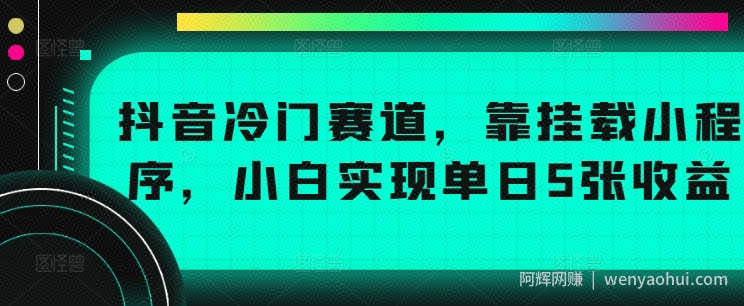 抖音冷门赛道，靠挂载小程序，小白实现单日5张收益