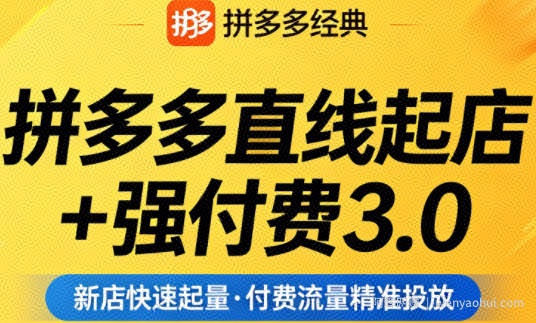 拼多多直线起店+强付费3.0，教你稳定起店、高效控投产、破解流量瓶颈（更新6月）
