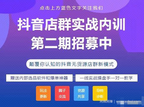 小卒抖音小店无货源店群模式蓝海矩阵玩法，一个月可以盈利上百万【视频课程】