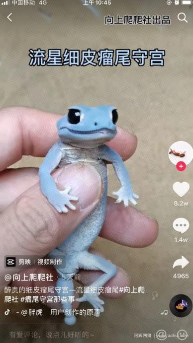 靠卖蟑螂药年赚几百万，自媒体电商应当如此！