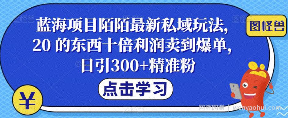 蓝海项目陌陌最新私域玩法，20 的东西十倍利润卖到爆单，日引300+精准粉【揭秘】