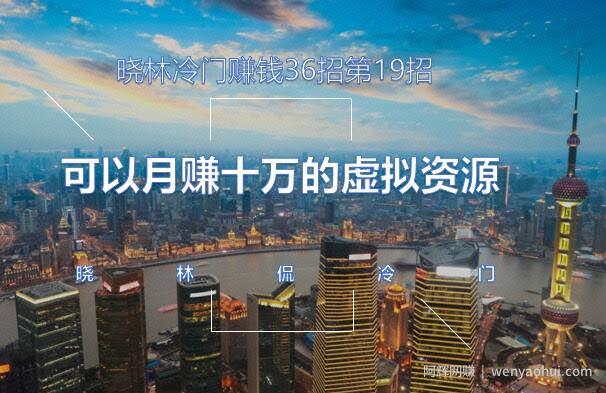 晓林冷门賺米36招第19招可以月赚十万的虚拟资源项目【视频课程】