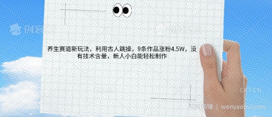 AI养生赛道新玩法，10条作品涨粉5.2W，操作简单，新人小白能轻松制作