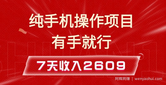 纯手机操作的小项目，有手就能做，7天收入2609+实操教程【揭秘】