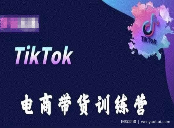 TikTok电商带货训练营，跟随时代潮流，跨境掘金
