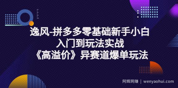 逸风-拼多多零基础新手小白入门到玩法实战《高溢价》异赛道爆单玩法实操课