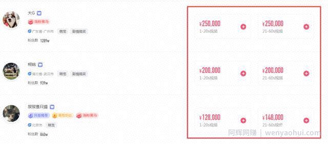 分析完1000个典型案例，告诉你宠物账号都靠什么发财