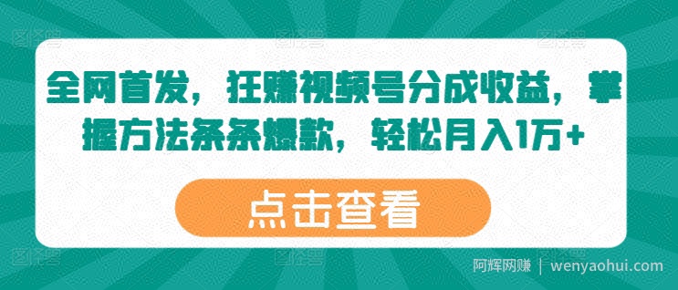 全网首发，狂赚视频号分成收益，掌握方法条条爆款，轻松月入1万+