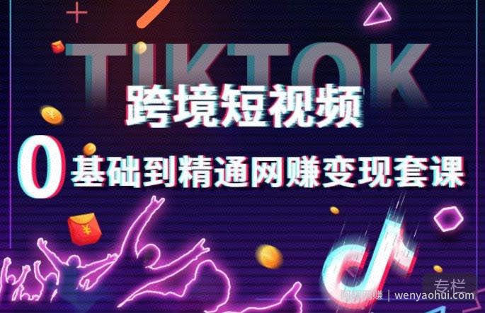 跨境短视频TIKTOK 0基础到精通网创变现套课，跨境短视频独立站带货变现技巧