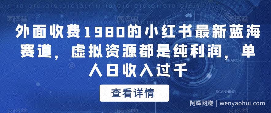 外面收费1980的小红书最新蓝海赛道，虚拟资源都是纯利润，单人日收入过千