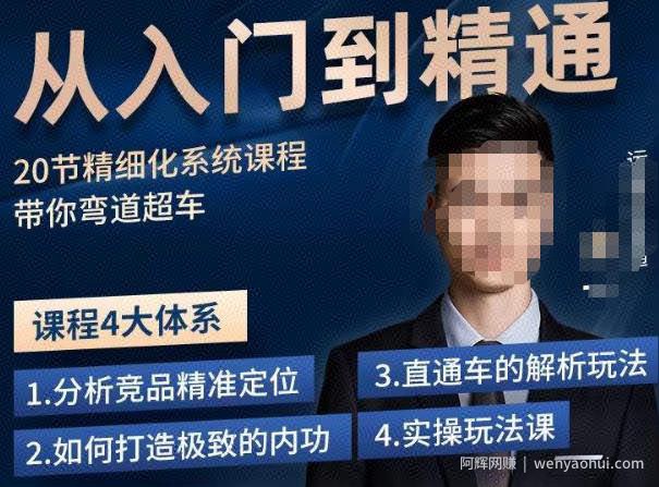 龙一·从入门到精通拼多多运营系列课，0-100的运营实操技巧，精细化系列课程带你弯道超车