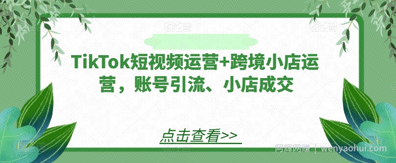 TikTok短视频运营+跨境小店运营，账号引流、小店成交