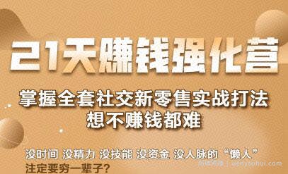 21天賺米强化营，掌握全套社交新零售实战打法，赚回N倍学员（完结）