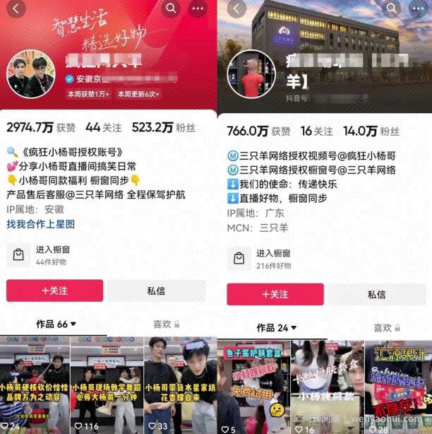 超级简单的无脑暴力玩法，抖音IP切片项目变现思路，分享给有缘人！