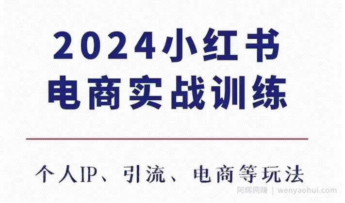2024小红书电商3.0实战训练，包含个人IP、引流、电商等玩法