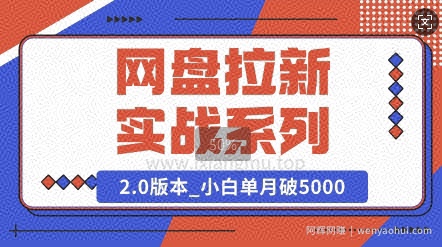 网盘拉新实战系列_选对方向_小白单月破5K(v2.0版教程)