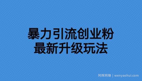 价值1980一千个野路子暴力引流最新升级玩法【揭秘】