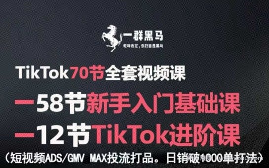 TikTok全套视频课，新手入门+进阶课，短视频ADS-GMV MAX投流打品，日销破1000单打法