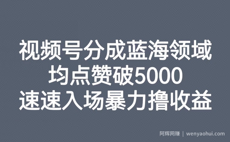 视频号分成蓝海领域，均点赞破5000，速速入场暴力撸收益
