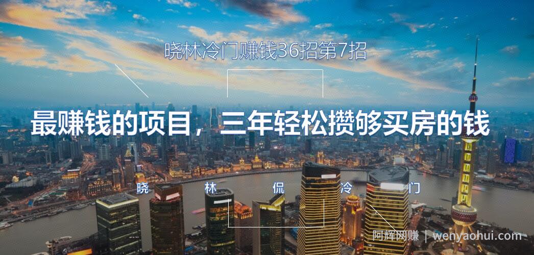 晓林冷门賺米36招第7招最賺米的项目，三年轻松攒够买房的钱【视频课程】