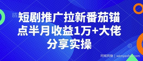 短剧推广拉新番茄锚点半月收益1万+大佬分享实操